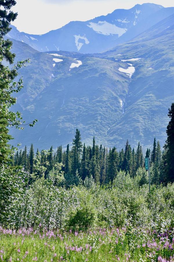 The Perch Resort Denali Park Ngoại thất bức ảnh