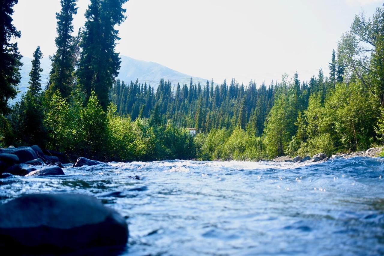 The Perch Resort Denali Park Ngoại thất bức ảnh
