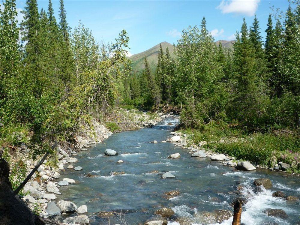 The Perch Resort Denali Park Ngoại thất bức ảnh