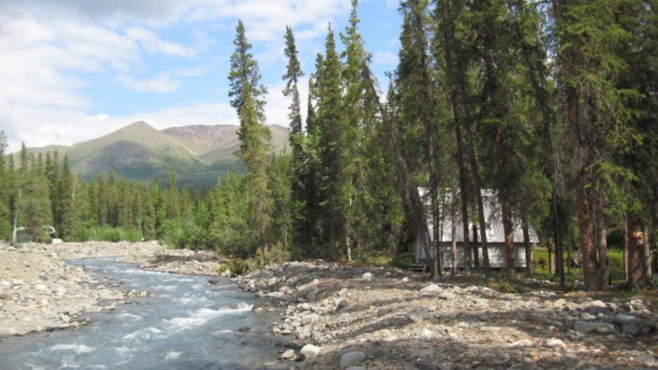The Perch Resort Denali Park Ngoại thất bức ảnh