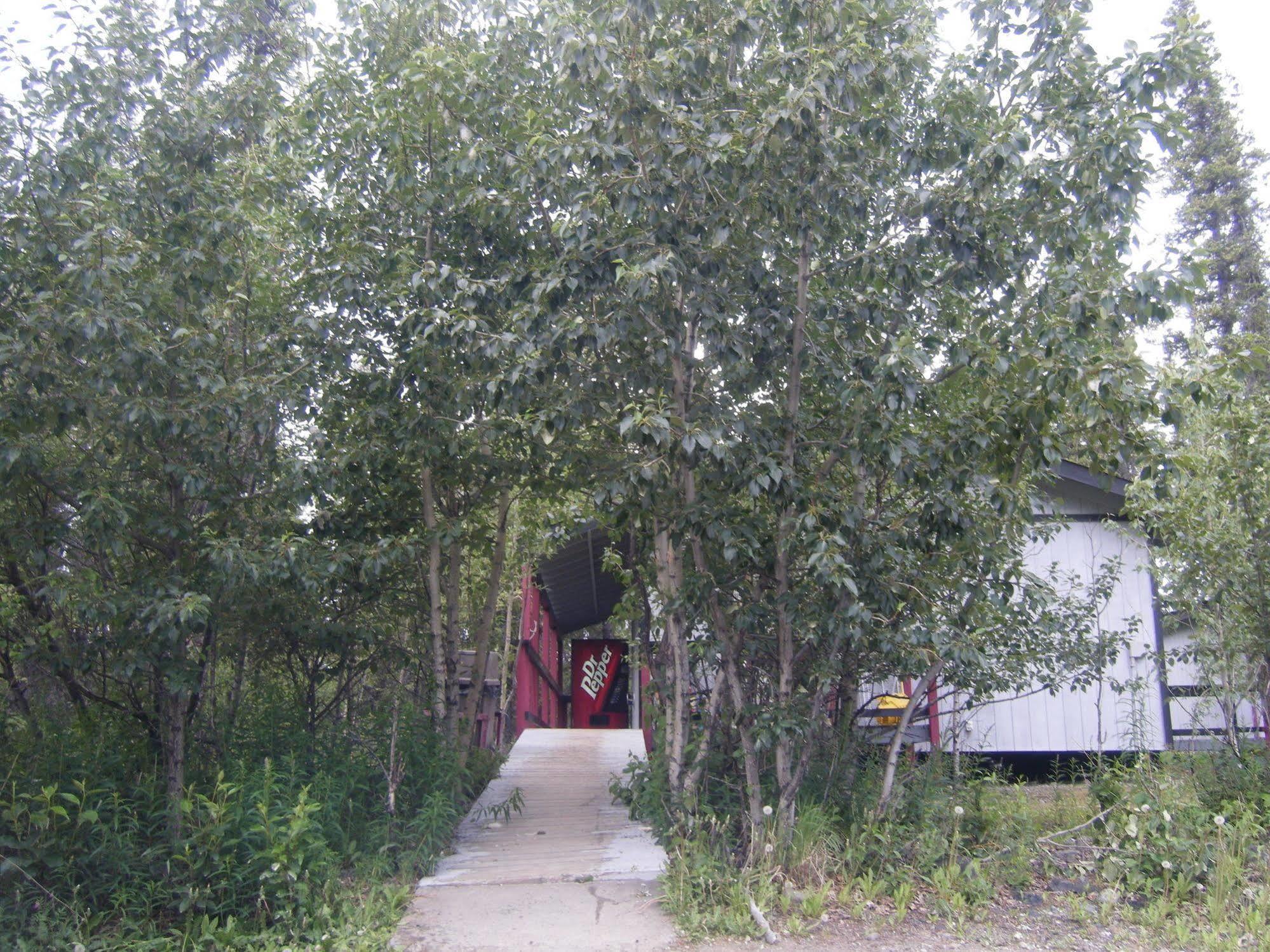 The Perch Resort Denali Park Ngoại thất bức ảnh