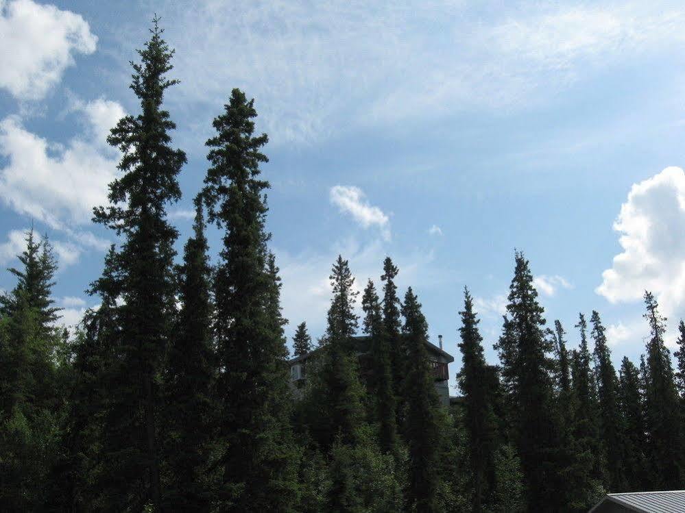 The Perch Resort Denali Park Ngoại thất bức ảnh