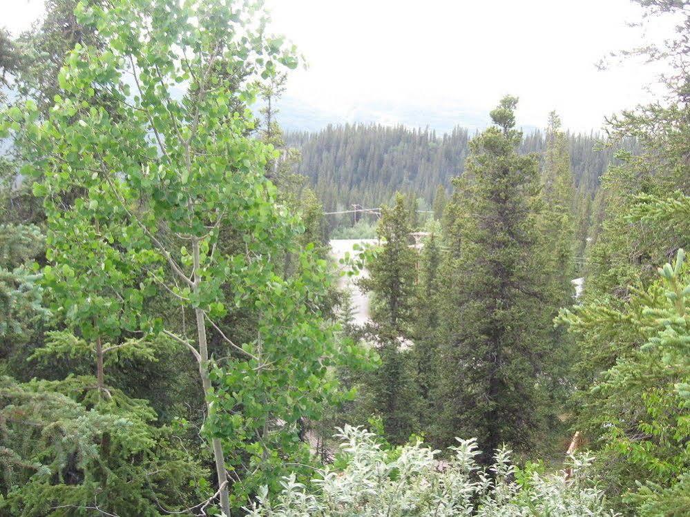 The Perch Resort Denali Park Ngoại thất bức ảnh