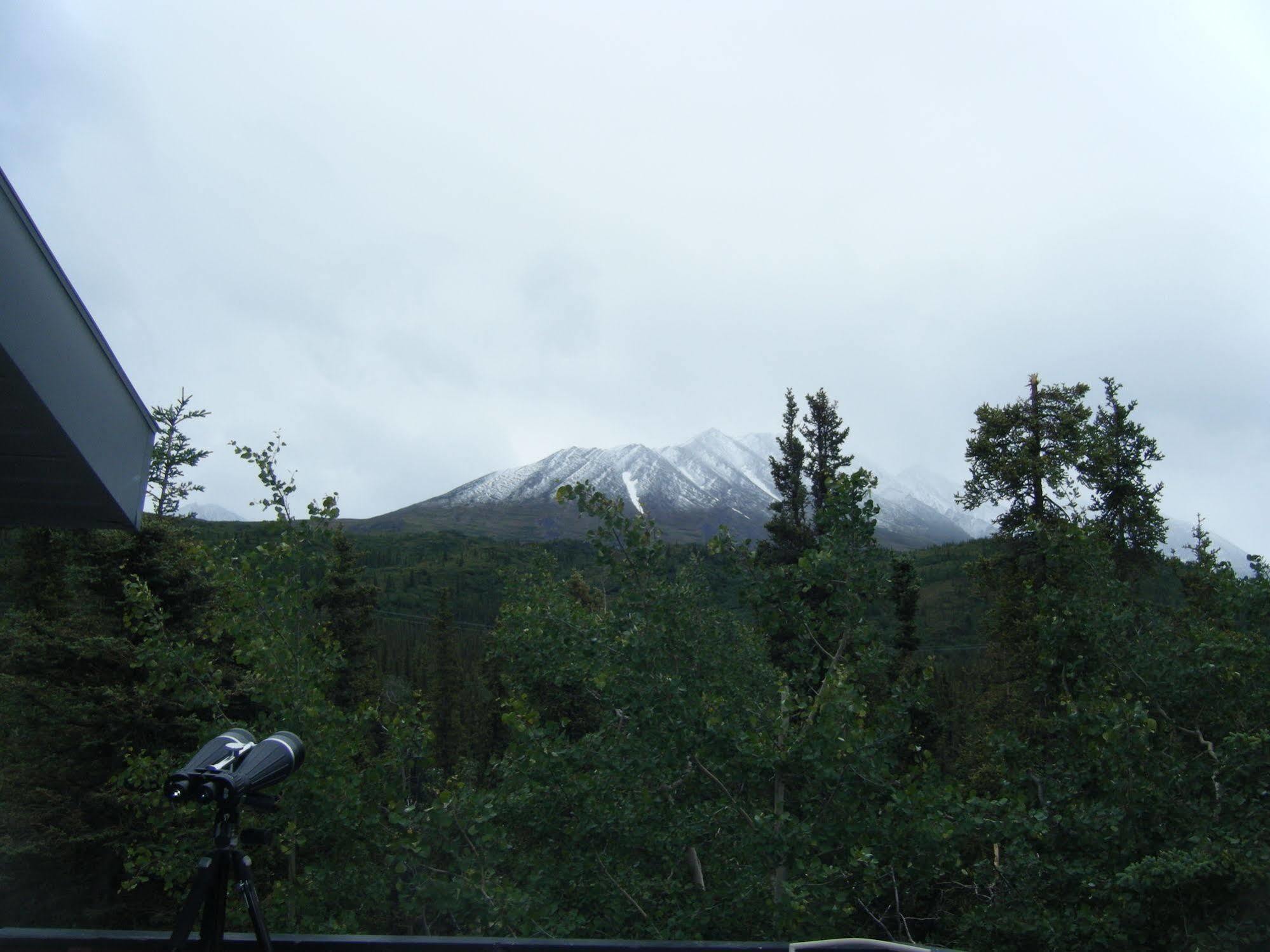 The Perch Resort Denali Park Ngoại thất bức ảnh