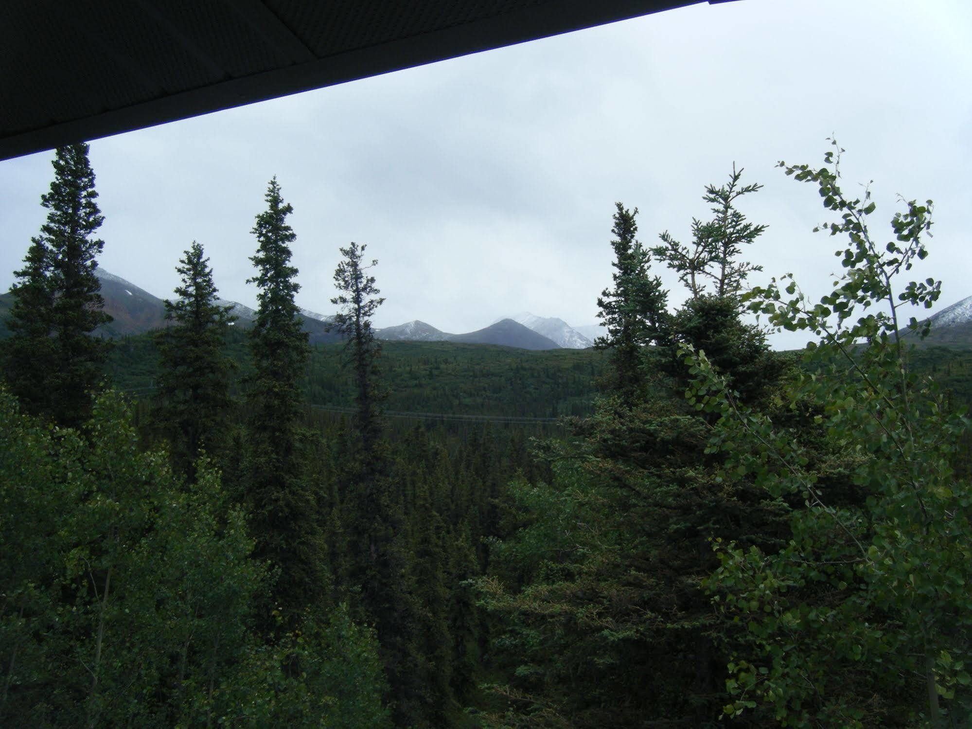 The Perch Resort Denali Park Ngoại thất bức ảnh